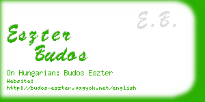 eszter budos business card